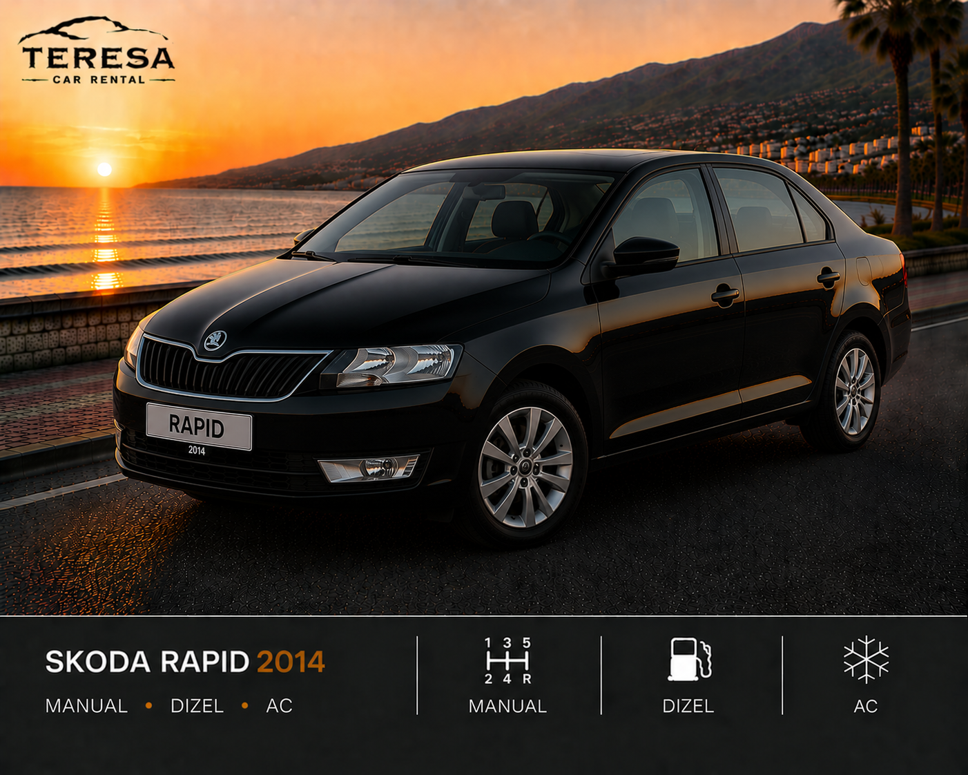 SKODA RAPID MANUALE